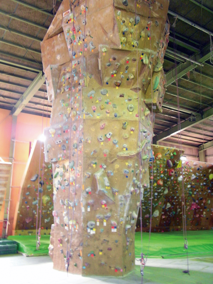 アメリカンピナクル